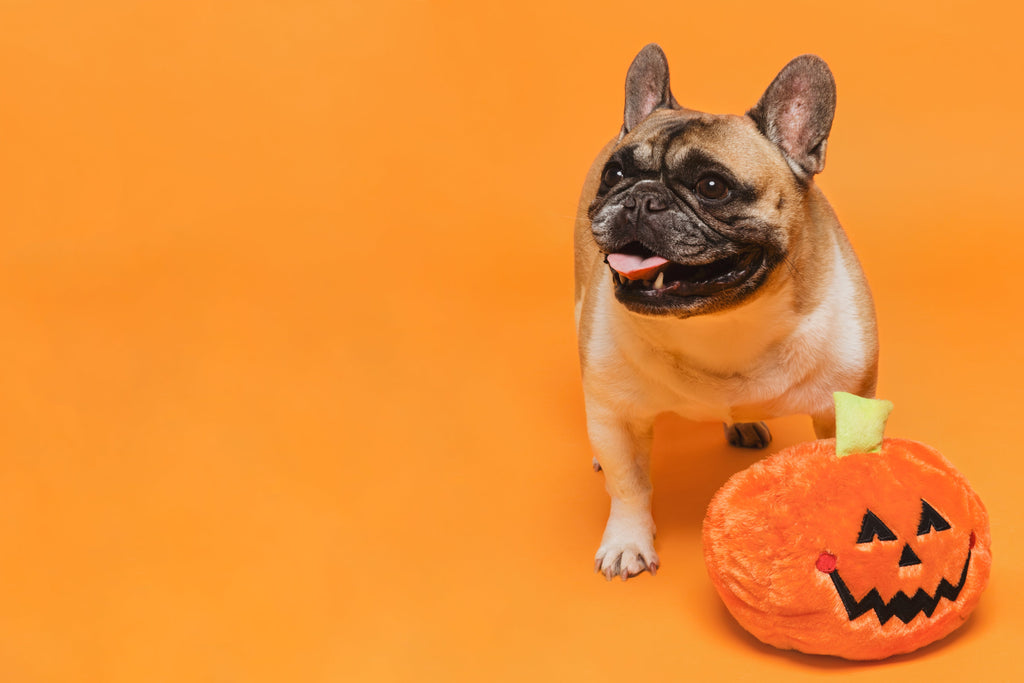 Le principali strategie eCommerce per Halloween